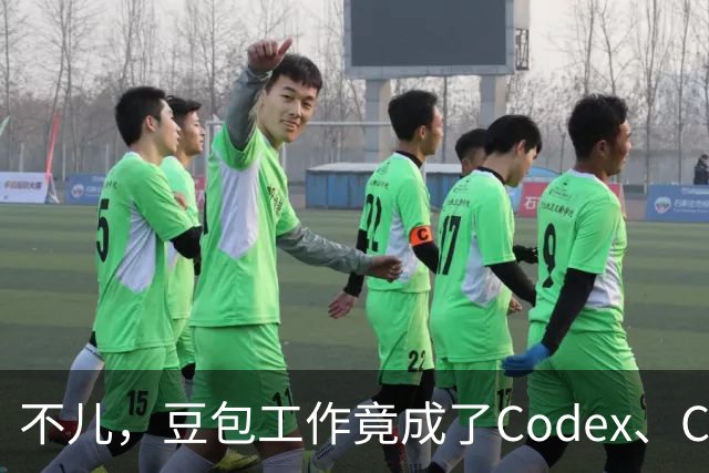 不儿，豆包工作竟成了Codex、CC的第二个家？！